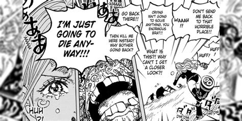 The Deep Symbolism Behind Wixca's Signature Straw Hat in One Piece